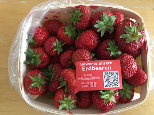 Erdbeeren